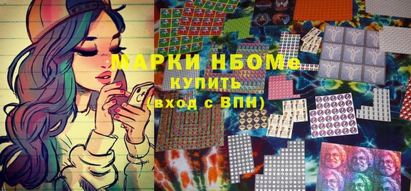 индика Армянск