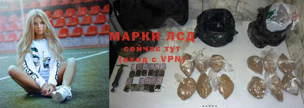 индика Армянск