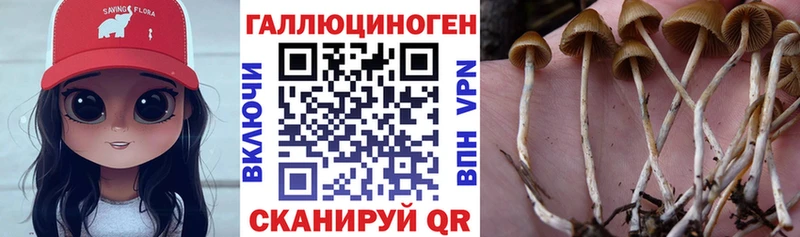 blacksprut ТОР Азов это клад Псилоцибиновые грибы GOLDEN TEACHER
