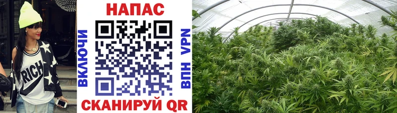 Канабис сатива  купить закладку  blacksprut сайт  Азов 